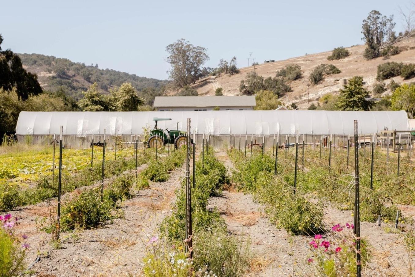 Wild Hair Studio-Stylish Farm Stay W Ev Charger Arroyo Grande Exteriör bild